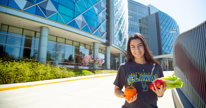 Students wrap up 2019 Research Experience for Undergraduates program at UD’s Lewes campus