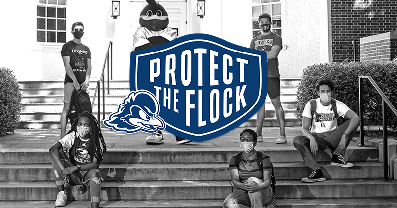 Flock Flock