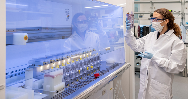 Strong, lightweight material invented at UD could be industry disruptor