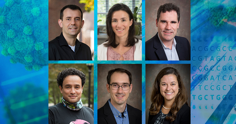 UD’s Singh and collaborators find vulnerable stages in stubborn cancer cells
