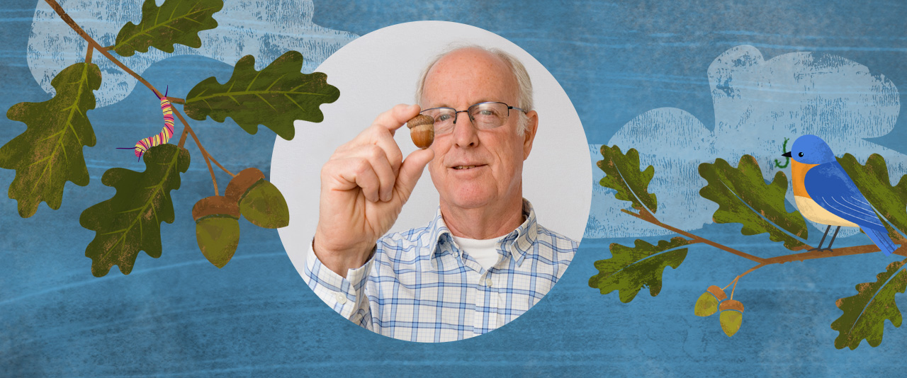 Photo illustration of professor Doug Tallamy holding an acorn