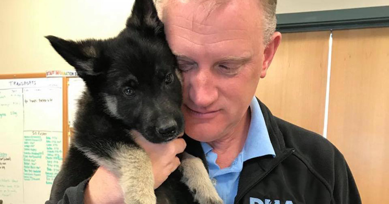 University of Delaware alumnus and Delaware Humane Association executive director Patrick Carroll holds Major, who was adopted by President Biden in 2018.
