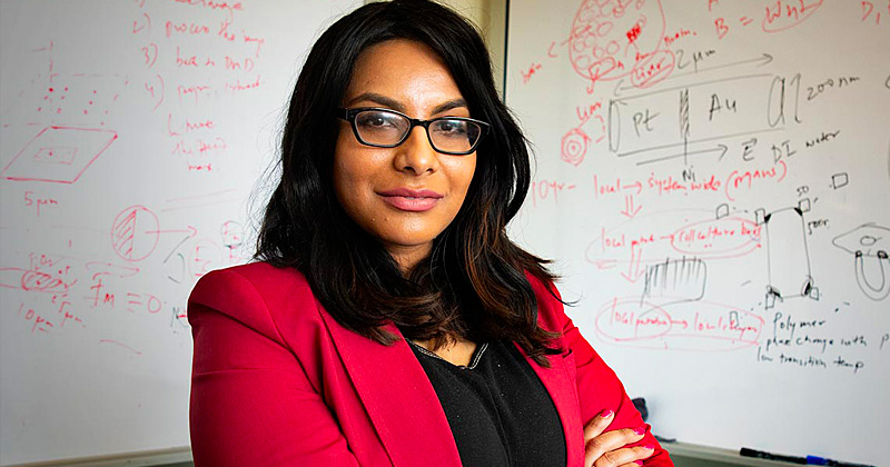 Startup with roots at UD provides chemical-free pest control for strawberry farmers