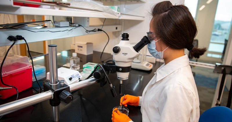 Advancing cardiovascular research - Vimarsana News