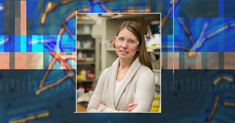 UD’s Swati Singh receives National Science Foundation CAREER award to study dark sector