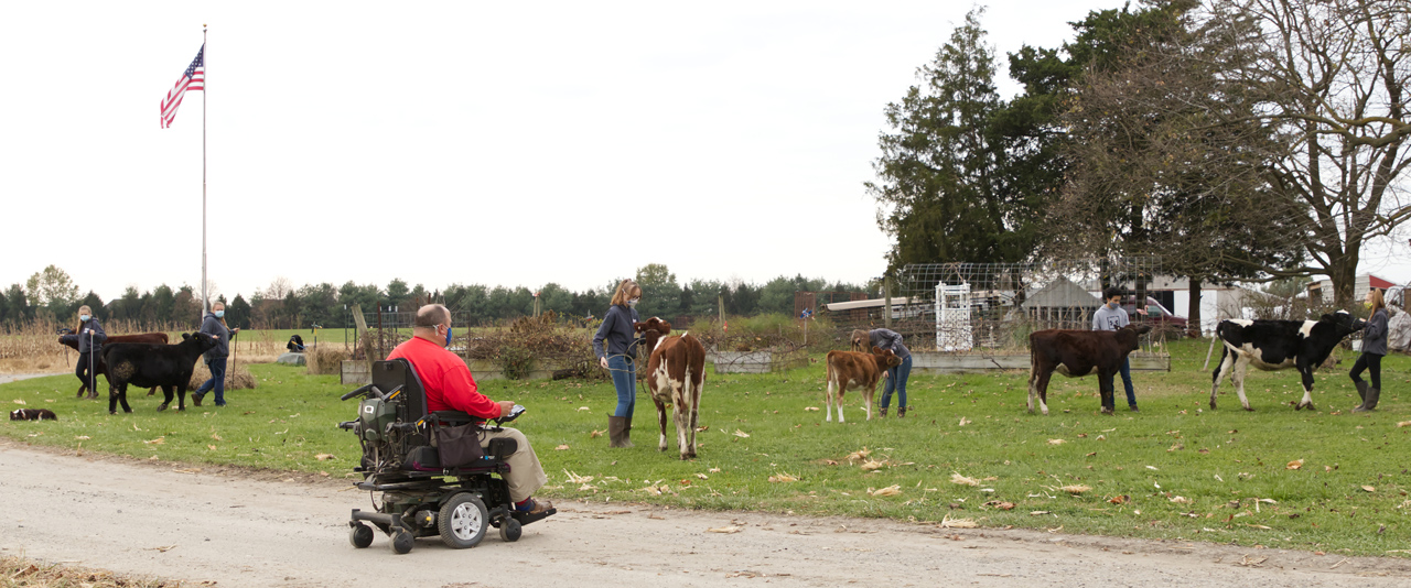UD alumnus Stephen Cook, who grew up in a family of farmers, guides students in how to show beef cattle for agricultural events.