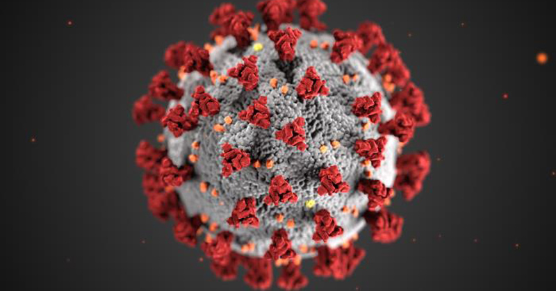 COVID-19 vaccines, variants - Vimarsana News