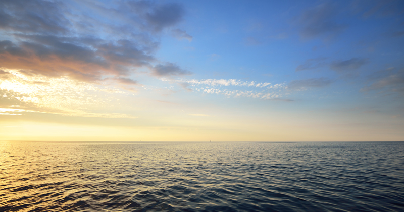 Climate Scholars | UDaily - Vimarsana News