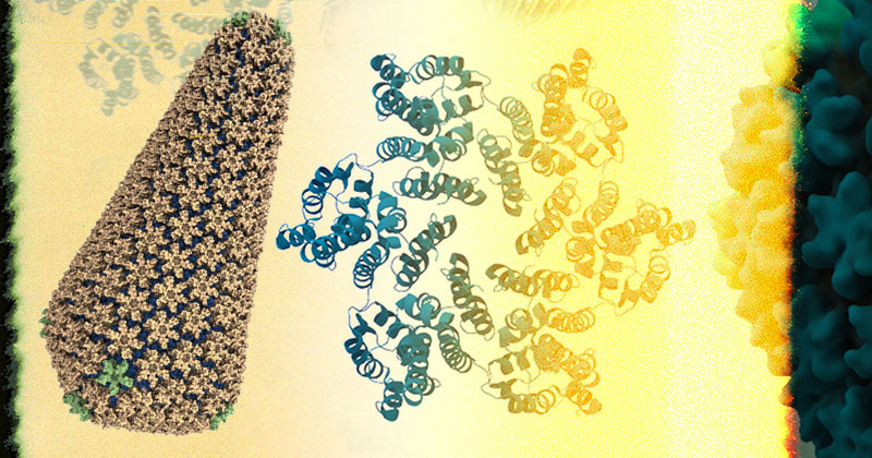 UD biochemist studies when enzymes in our cells go wrong and misbehave in human disease