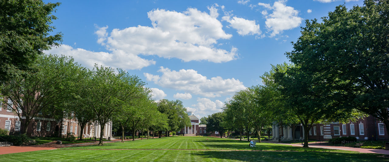 North Green on a sunny day