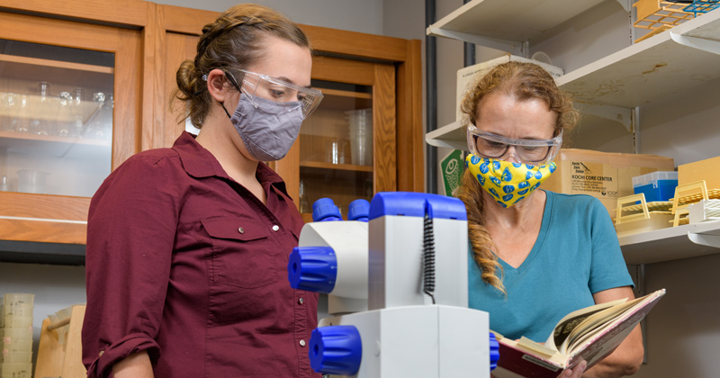 UD’s Xinqiao Jia secures $4.85 million to advance vocal fold, salivary gland research