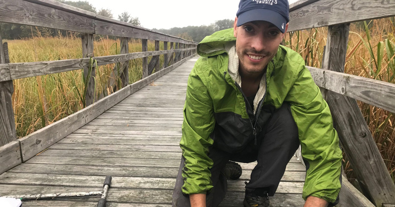 Salt marshes – the climate change connection - Vimarsana News