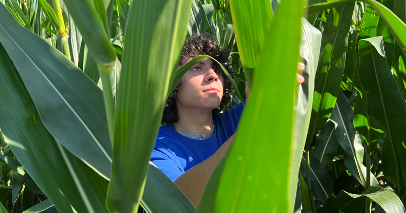 Discovering plant science - Vimarsana News