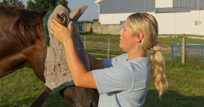 Working at Webb Farm - Vimarsana News