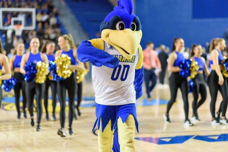 Why Blue Hens? | UDaily