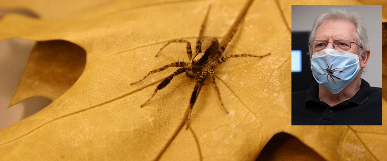 A photo of a spider on a yellow leaf with a headshot of George Uetz in the upper right corner.