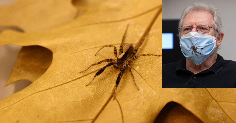 Spider on a yellow leaf and a headshot photo of George Uetz
