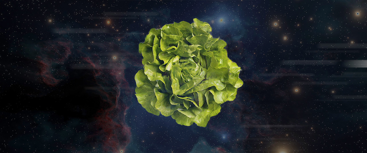 Growing lettuce in space for human exploration