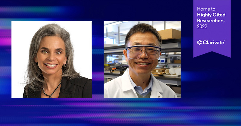 UD faculty among world's most influential researchers - Vimarsana News