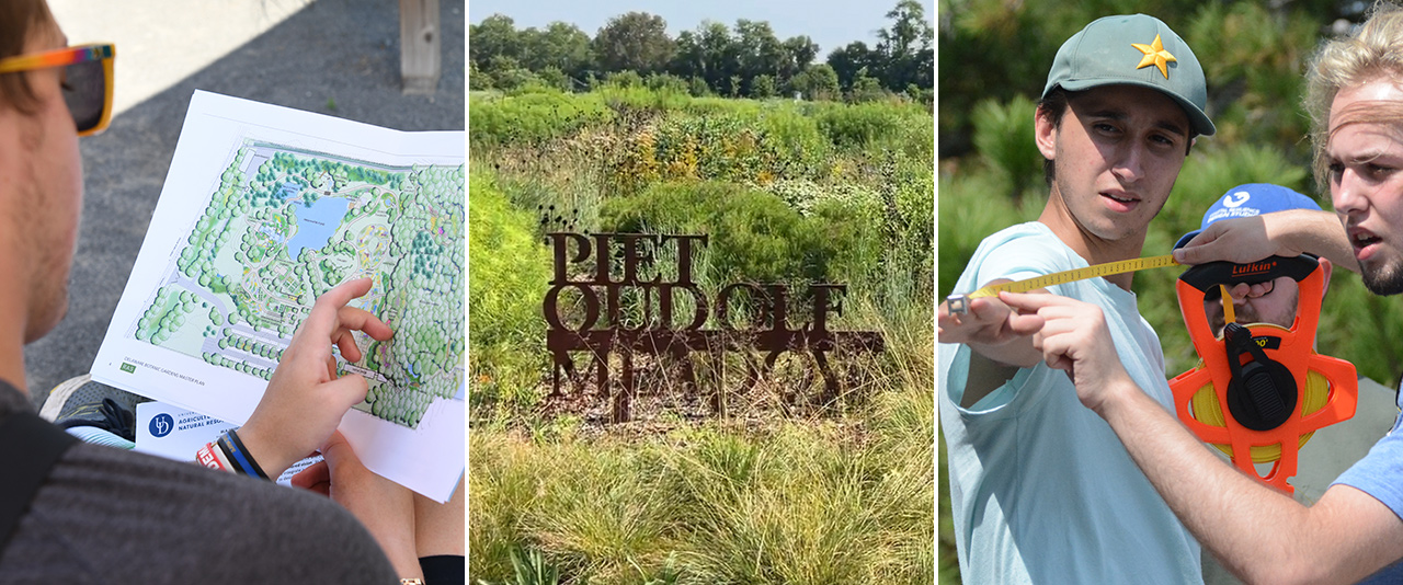 Three images: 1) A student looking at a copy of the Delaware Botanic Garden master plan. 2) The Piet Oudolf Meadow Garden. 3) Students practiced measuring on the deck of the Cape Henlopen State Park Bath House.