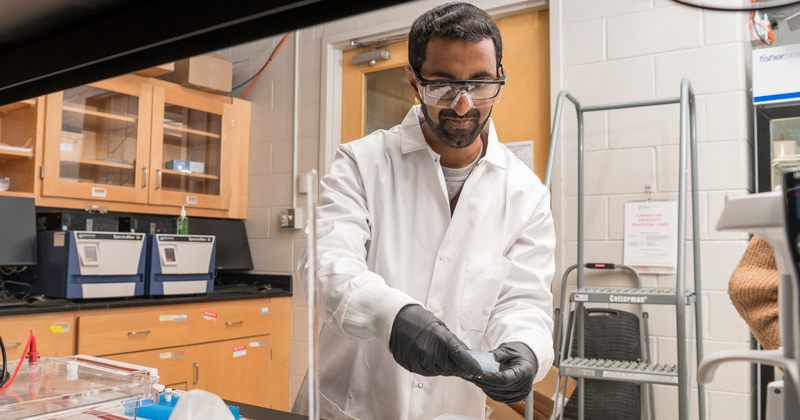 Engineering bacterial vaccines - Vimarsana News