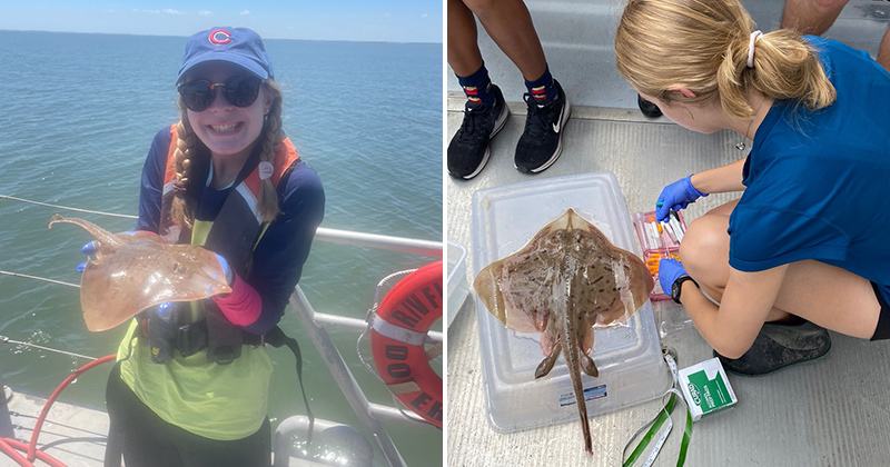 Undergraduate students supported a research team’s field research