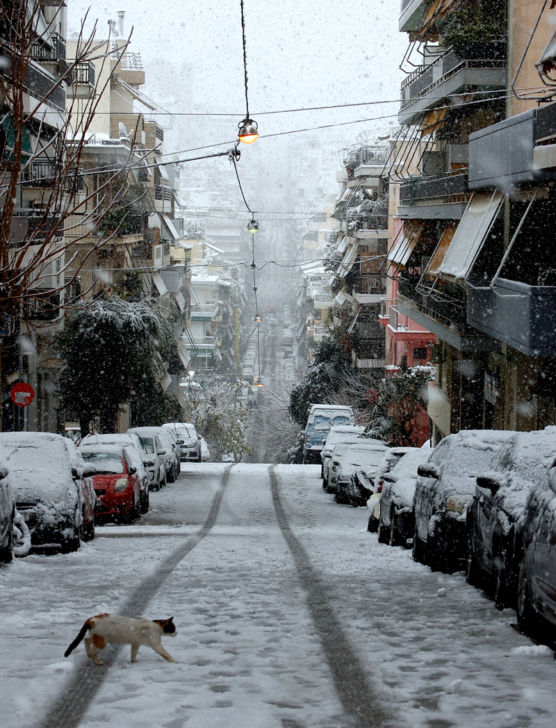 “The First Snow of Athens” shows contest winner Joshua Nagy’s unique view of the city of Athens as it began to be blanketed with a rare snowfall during his 2022 Winter Session study abroad program in Greece.