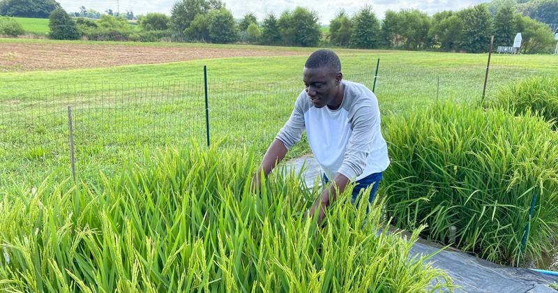 Originally from Ibadan, Oyo State, Nigeria, Samuel Oluwapamilerin Bamidele came to the University of Delaware to study plant and soil sciences. He recently earned membership into the prestigious Encompass Fellows Program.