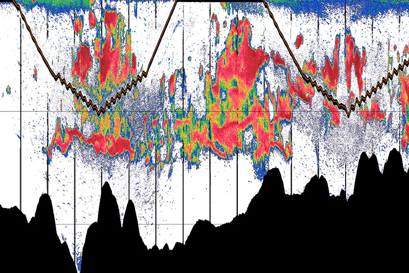 High-resolution echosounder data from the Moline lab is helping reveal where food resources are available to marine animals in Palmer Deep Canyon on the West Antarctic Peninsula.