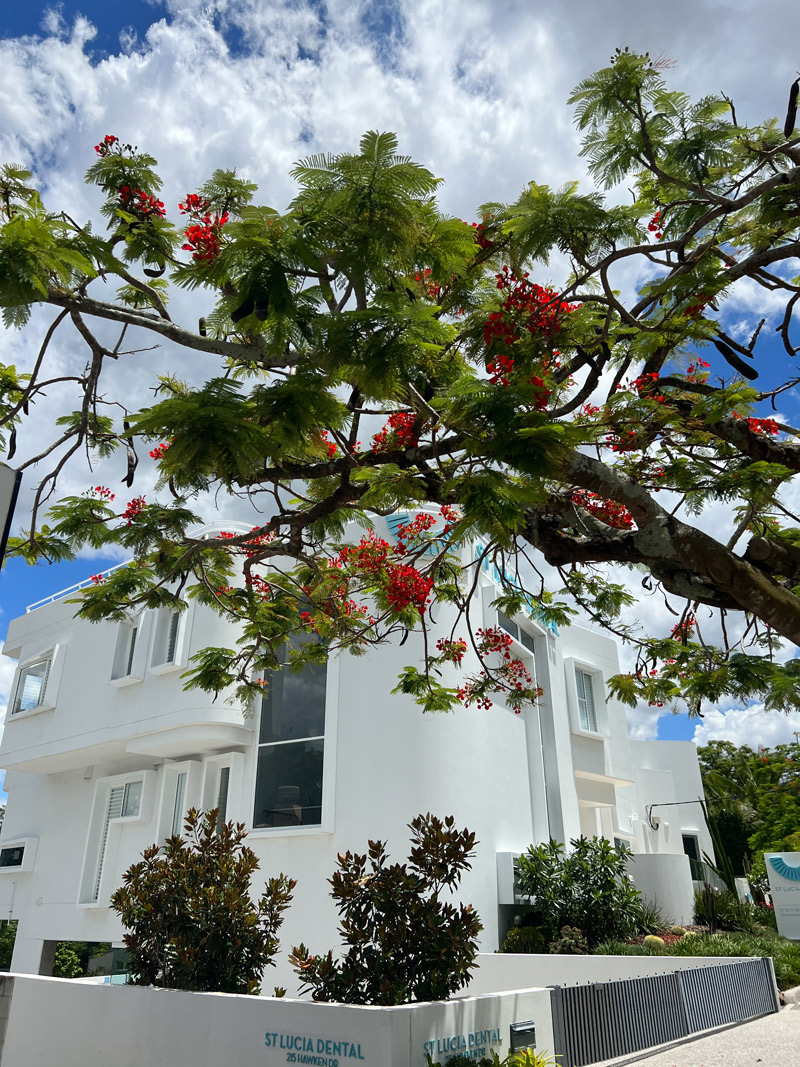 Student Eva Pumo saw this lovely dentist’s office every time she went to town while on the Australia Geography study abroad program in winter 2023. 