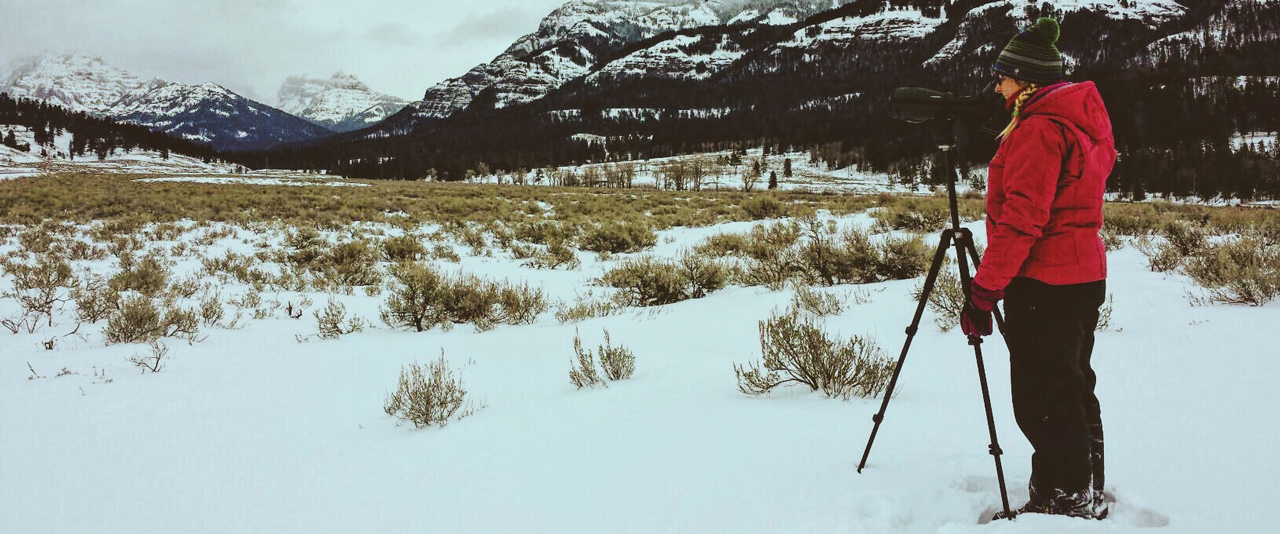 UD alumna Lizzy Baxter stands outdoors in the snow in Yellowstone Park observing wolves.