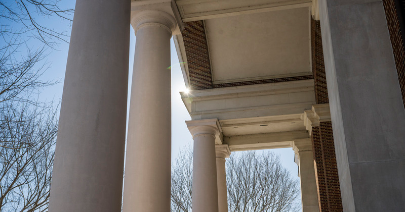 Columns at Sharb Lab