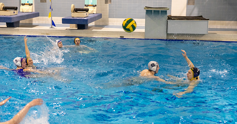 Science of Summer Games Water Polo UDaily
