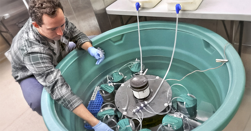 Nicholas Ray, assistant professor in the School of Marine Science and Policy, was part of a National Science Foundation research coordination network that released a paper focused on nitrogen fixation in freshwater and coastal ecosystems. Here, he conducts the lab work for one method of measuring sediment-water N2 fluxes (including N-fixation).