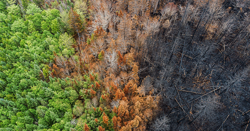 University of Delaware Professor Pei Chiu is exploring the capacity of carbon-rich materials called chars, including those left behind after wildfires, to help suppress methane in the environment.