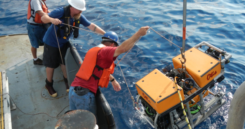 Microbiologist Molly Sutherland studies essential protein with National Science Foundation funding