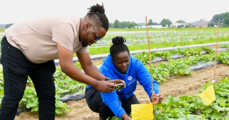 DNREC, UD create database of funding opportunities to support resilient communities