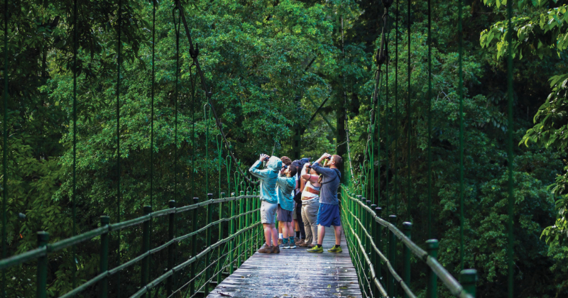 In her winning photo, “The Bridge to Bird Paradise,” entomology and wildlife ecology and conservation double major Grace Ferry and her classmates are seen trying to identify a keel-billed toucan on the ENWC Costa Rica program led by Kyle McCarthy  in Winter 2025.