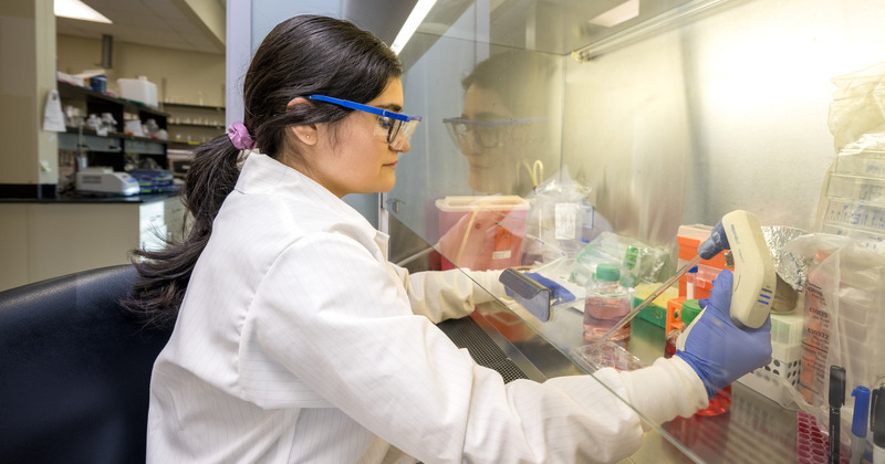 University of Delaware doctoral candidate Brigette Romero is part of the growing life sciences workforce. Romero is exploring the role of circular RNA in muscle development in cerebral palsy in UD molecular biologist Mona Batish’s lab at the Delaware Technology Park. Building this talent pipeline is critical to address societal needs, according to experts who spoke at Delaware’s DNA: Life Sciences Conference on May 8.