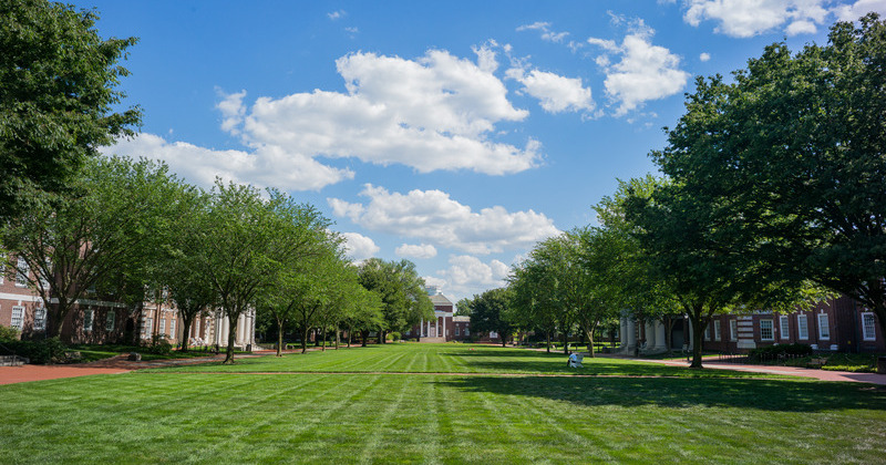The green on UD campus