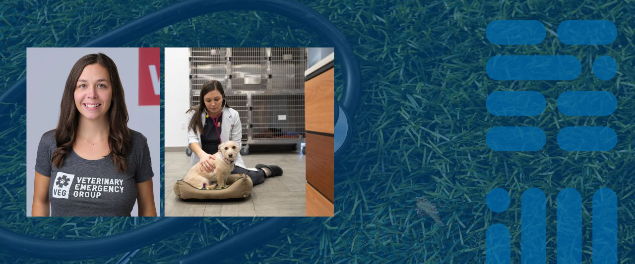 University of Delaware alumna Monica Sterk works as a regional medical director for Veterinary Emergency Group’s 20 hospitals in the northeast region.