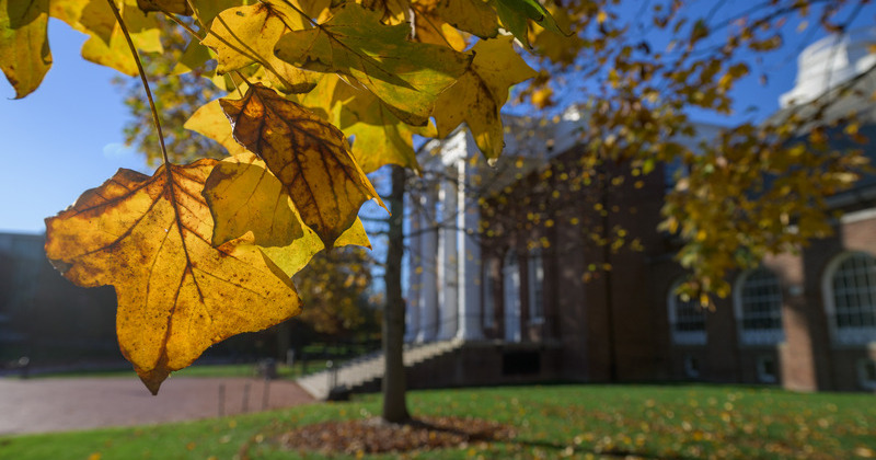 For the Record, Nov. 21, 2025