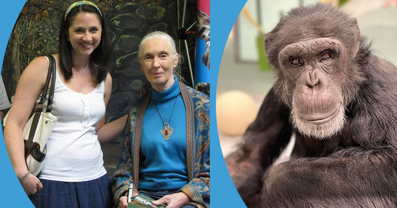 “Her impact is immeasurable,” said Erika Fleury, Class of 2003, whose professional path crossed with Jane Goodall’s on numerous occasions. “There is so much to learn from someone who never stopped speaking out for what she believed in.” At right, Cy is one of the chimps rescued through the Chimpanzees in Need fundraiser, with the help of Fleury and Goodall.