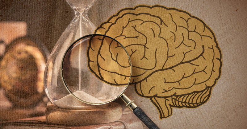 UD undergraduate student Heaven Boisclair researched survivor testimonies at the United States Holocaust Memorial Museum, applying her knowledge of neuroscience to history.  