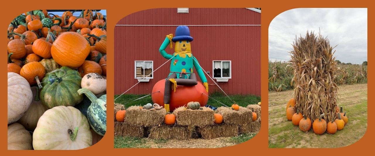 Fall fun at Filasky's Produce and Farm Market