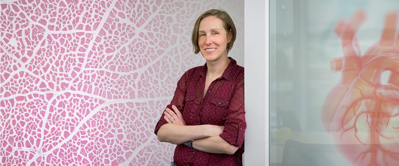 Elise Corbin, assistant professor of biomedical engineering at the University of Delaware, is working to uncover the ”push-pull” interactions between heart cells after a heart attack. These cells can stiffen and form scar tissue some distance from the heart attack site — a cascade that eventually can end in heart failure.