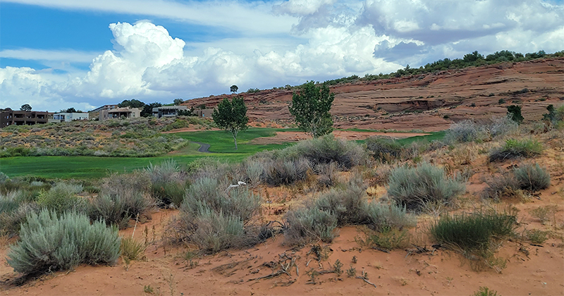 University of Delaware doctoral candidate Mehrnaz Haghdadi and doctoral student Nora Lucas conducted research focused on the water use of 12 golf courses in St. George, Utah, an arid, rapidly growing city in the Colorado River Basin.