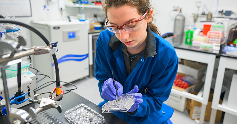 Spark! Symposium showcases four big questions driving graduate research at UD