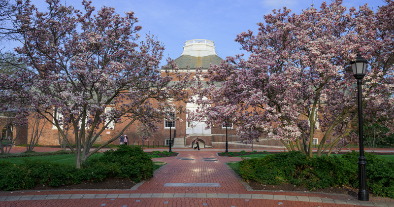 For the Record, April 3, 2026 | UDaily