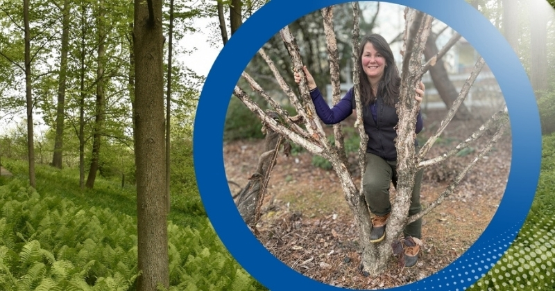 When she’s not gardening for work, UD alumna Carol Long can be found volunteering with the University of Delaware Botanic Gardens or gardening at home. Here she is pictured with a river birch (Betula nigra ‘Little King’) in her expansive home garden. 
